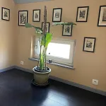 Chez Lulu - Maison Au Calme A Holiday home *