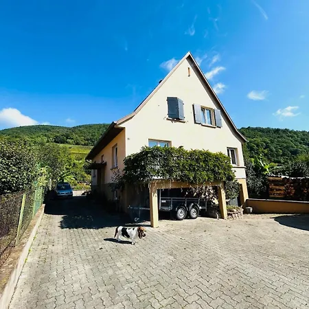 Chez Lulu - Maison Au Calme A Vakantiehuis Kaysersberg-Vignoble