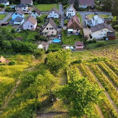 Vakantiehuis Chez Lulu - Maison Au Calme A Kaysersberg-Vignoble