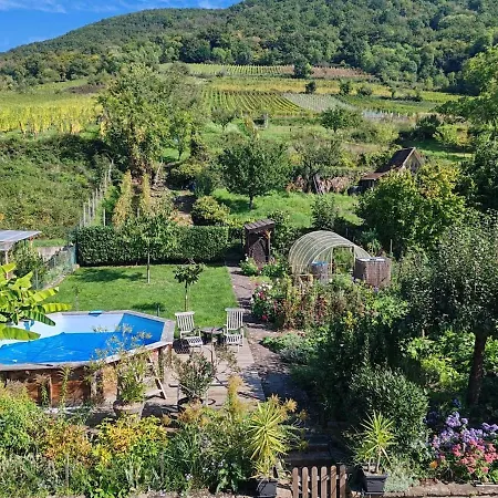 Vakantiehuis Chez Lulu - Maison Au Calme A Kaysersberg-Vignoble