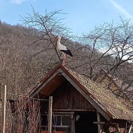 Vakantiehuis Chez Lulu - Maison Au Calme A *